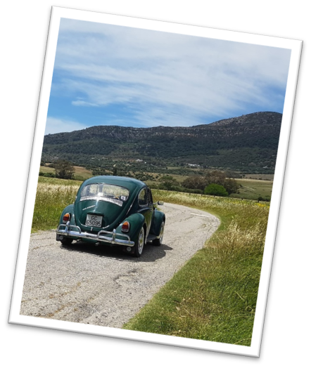 Een donkergroene vintage Volkswagen Kever op een landelijke weg in Andalusië